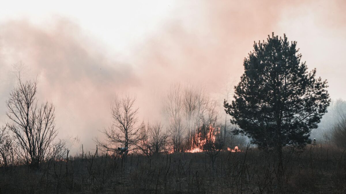 Climate and Disaster Risk