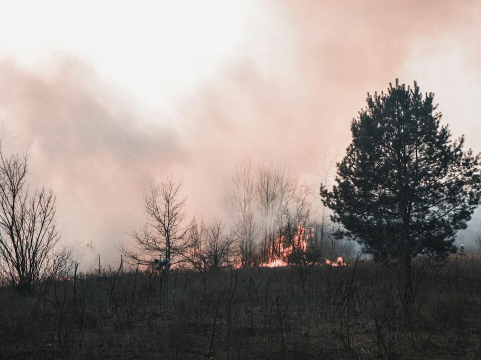 Climate and Disaster Risk