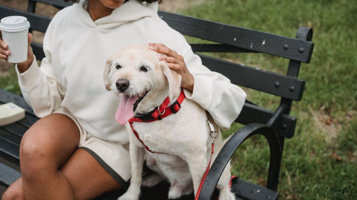 Pets and Estate Plan
