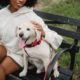 Pets and Estate Plan