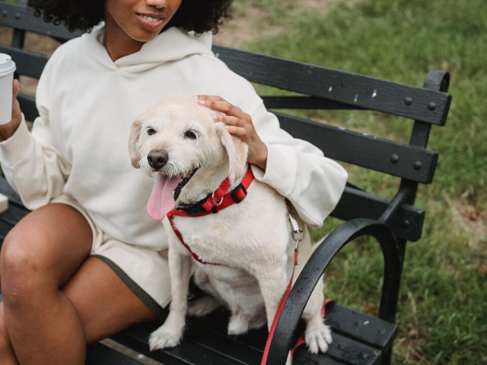Pets and Estate Plan